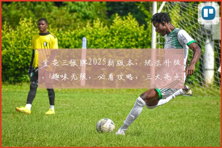 金花三张牌2025新版本，玩法升级，趣味无限，必看攻略，三大亮点大揭秘