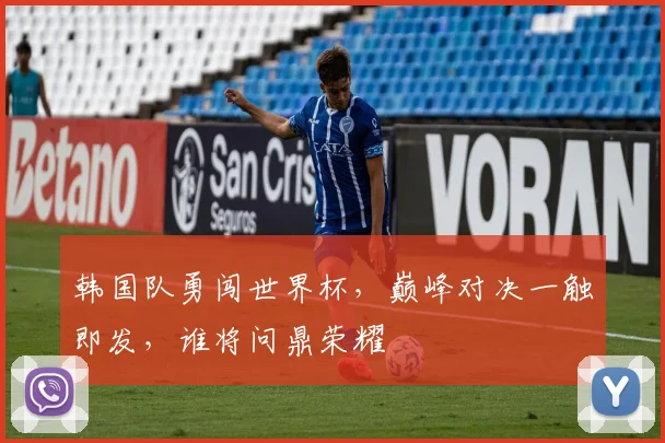 韩国队勇闯世界杯，巅峰对决一触即发，谁将问鼎荣耀